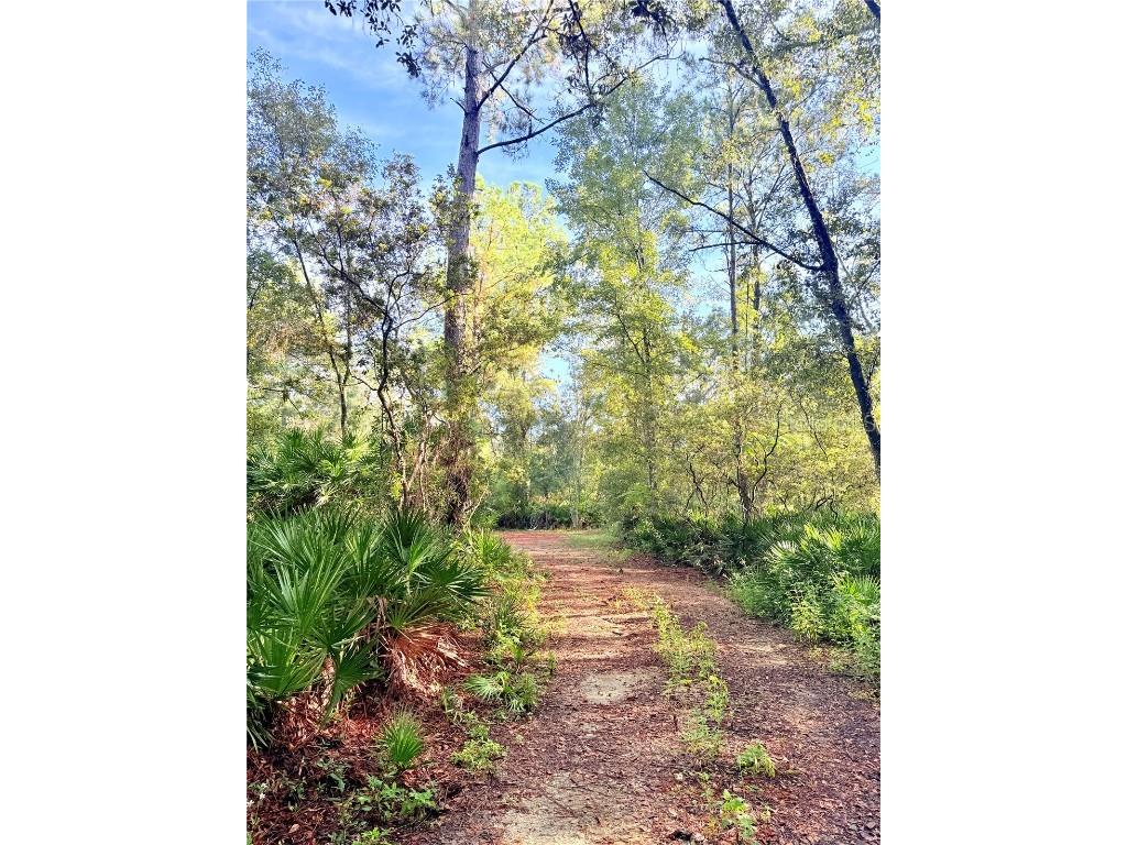 7324 NW 152 Place Alachua FL 32615 GC534615 image11