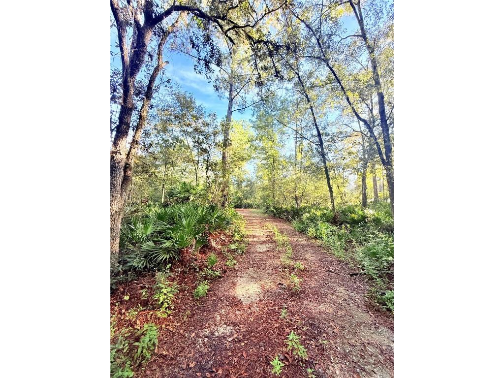 7324 NW 152 Place Alachua FL 32615 GC534615 image12