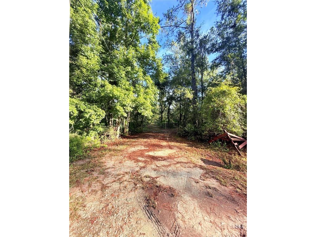 7324 NW 152 Place Alachua FL 32615 GC534615 image15