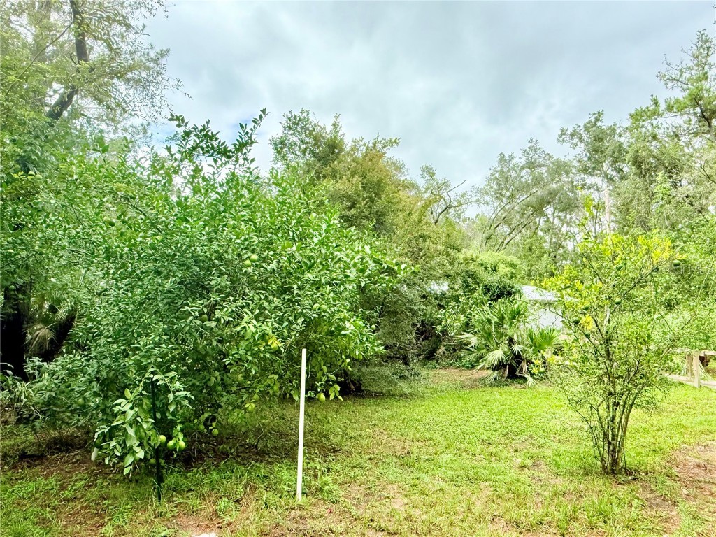 7324 NW 152 Place Alachua FL 32615 GC534615 image26