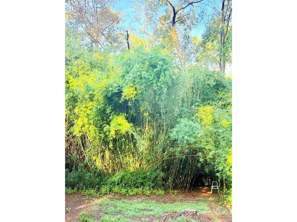 7324 NW 152 Place Alachua FL 32615 GC534615 image5