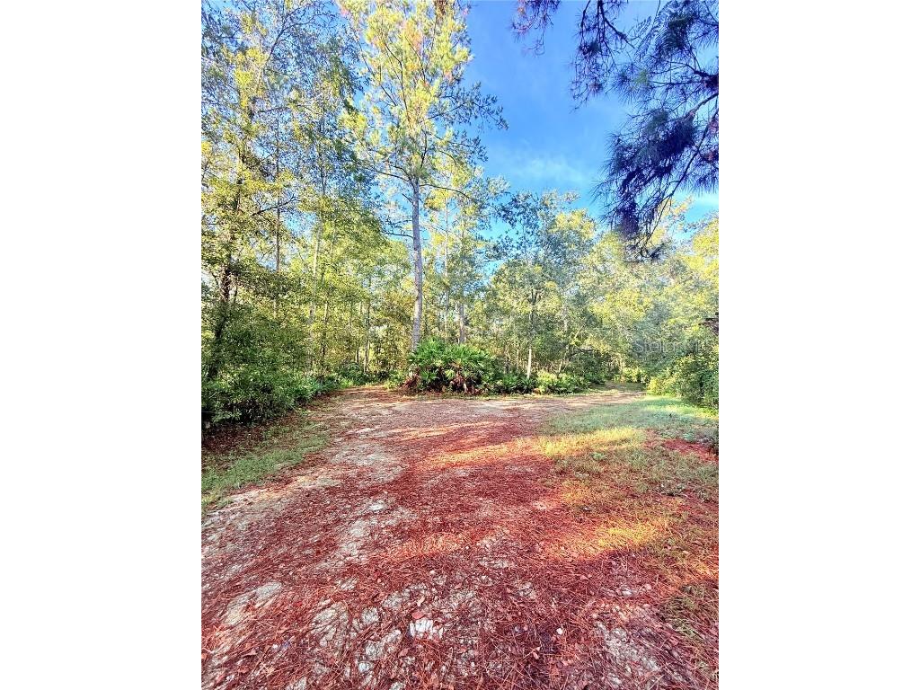 7324 NW 152 Place Alachua FL 32615 GC534615 image8