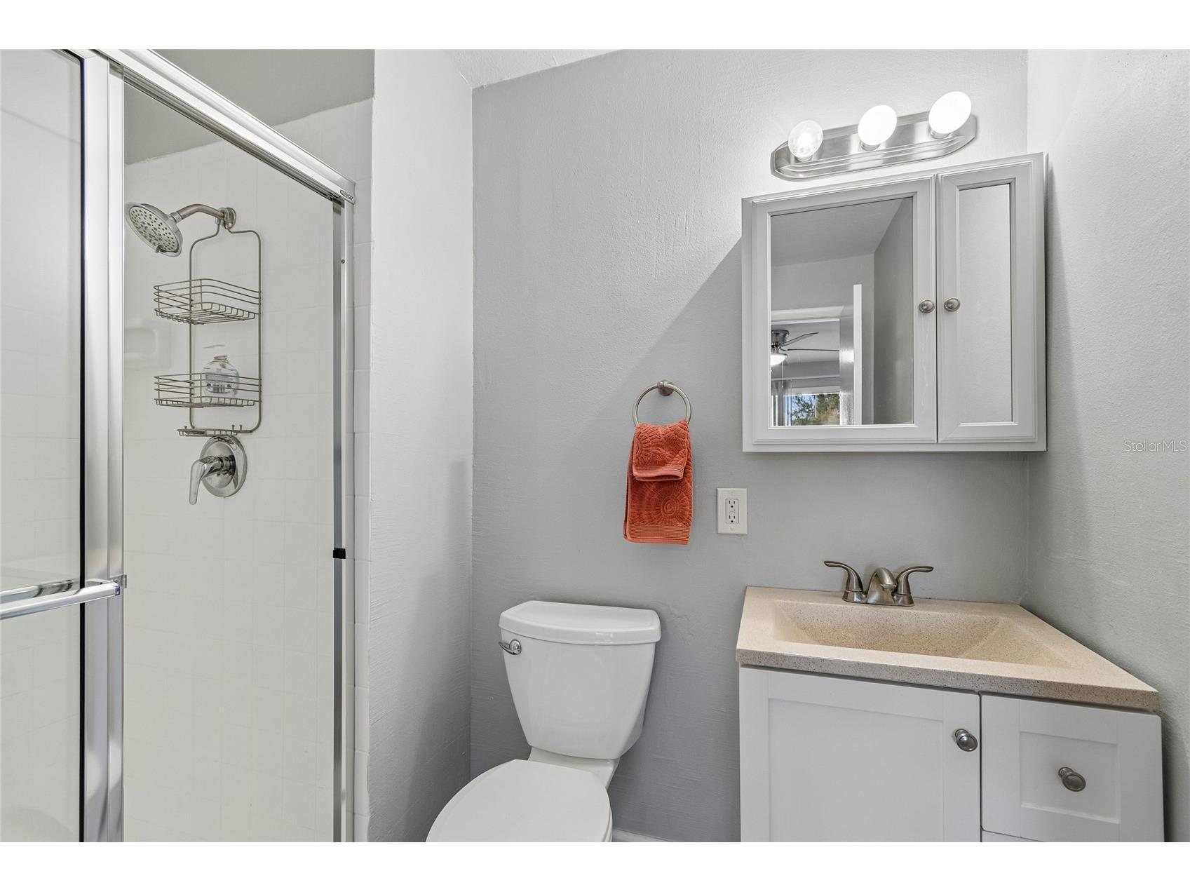 7324 Stone Haven Court N Pinellas Park FL 33781 TB8512205 image22