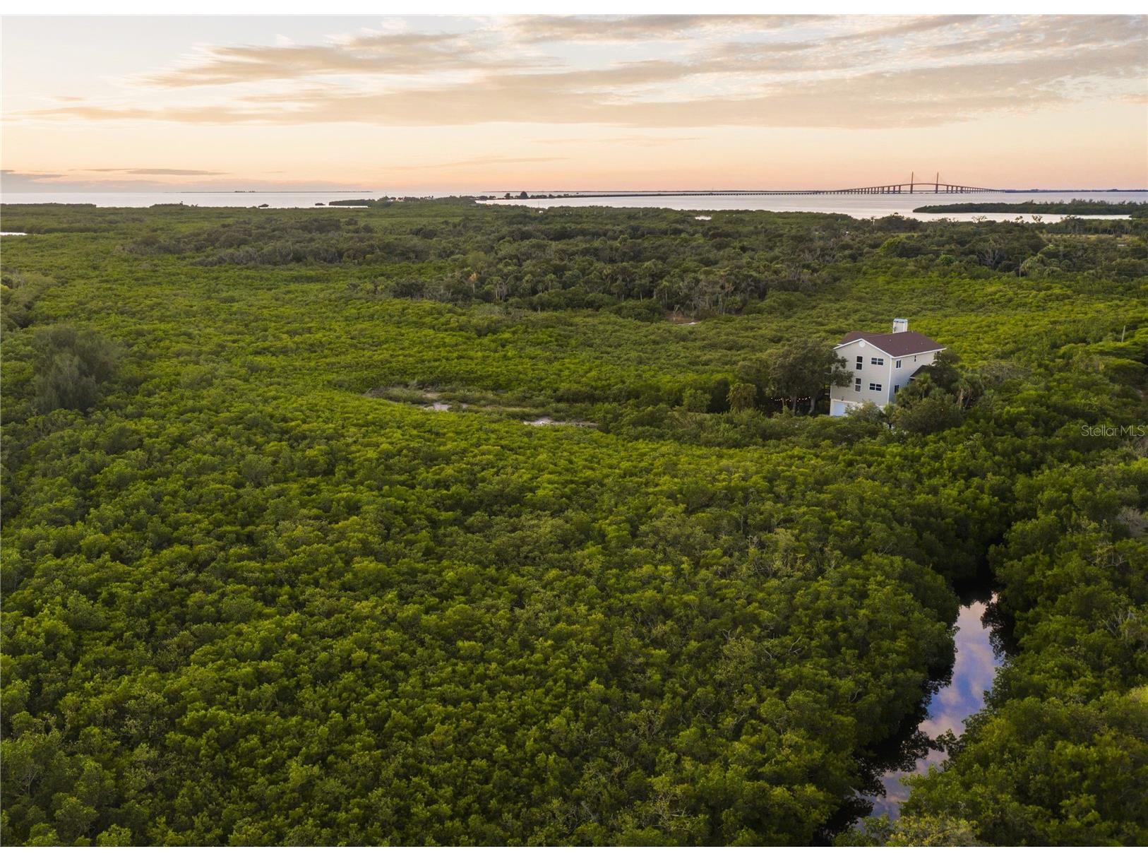 7325 Holly Road Terra Ceia FL 34250 - MIGUEL BAY A4688524 image1