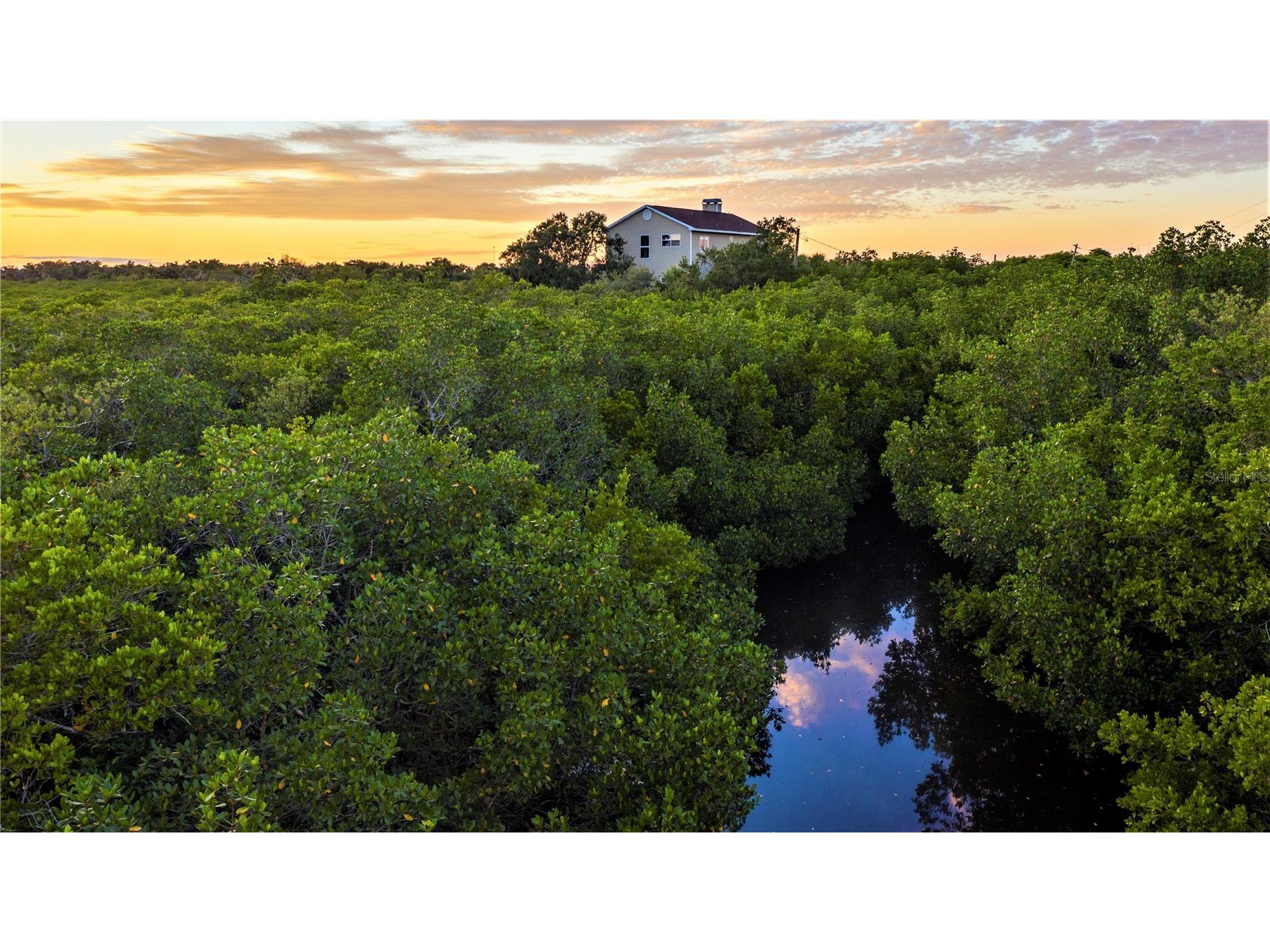 7325 Holly Road Terra Ceia FL 34250 - MIGUEL BAY A4688524 image2