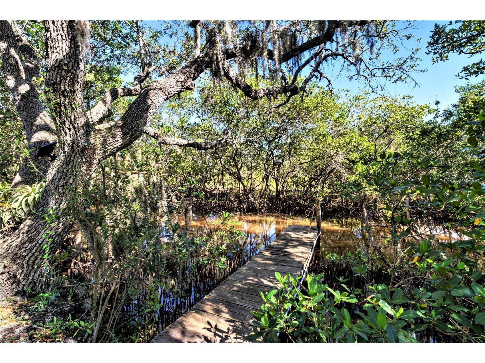 7325 Holly Road Terra Ceia FL 34250 - MIGUEL BAY A4688524 image69