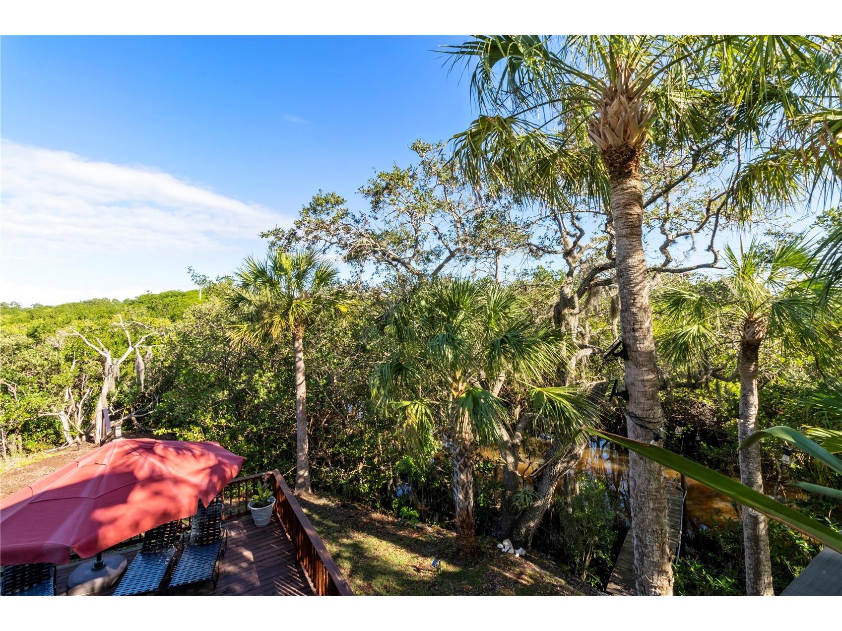 7325 Holly Road Terra Ceia FL 34250 - MIGUEL BAY A4688524 image72