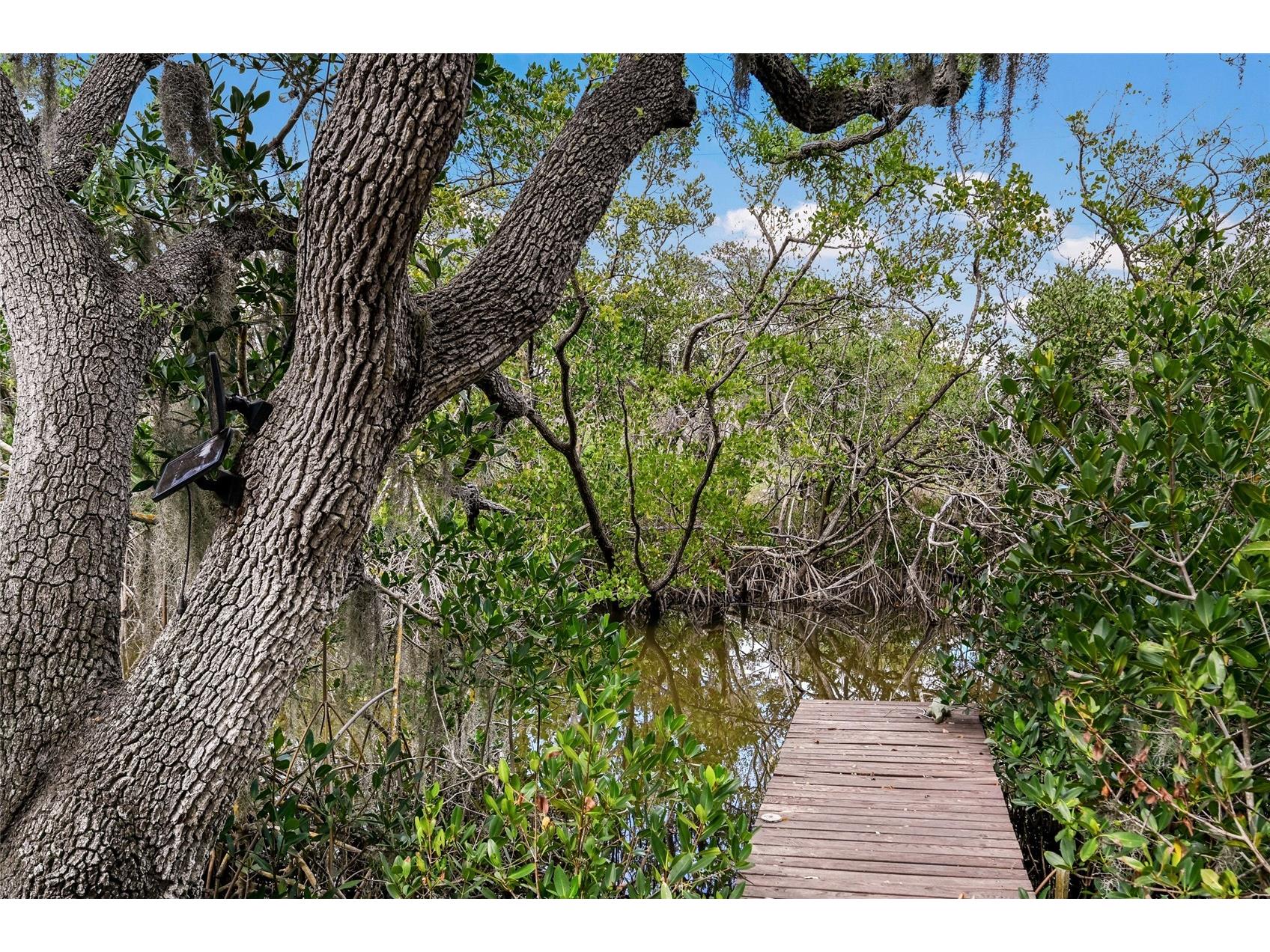 7325 Holly Road Terra Ceia FL 34250 - MIGUEL BAY A4688524 image74