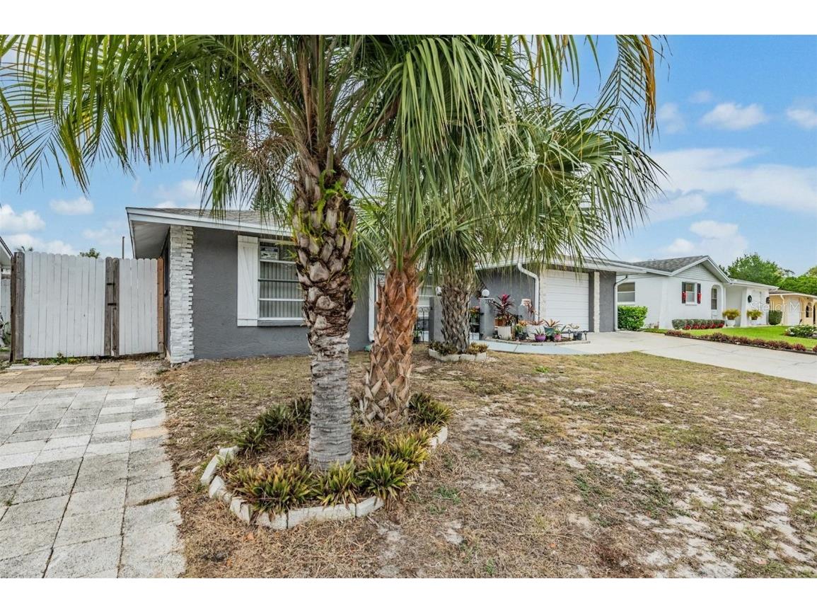 7325 San Salvadore Drive Port Richey FL 34668 TB8454868 image35