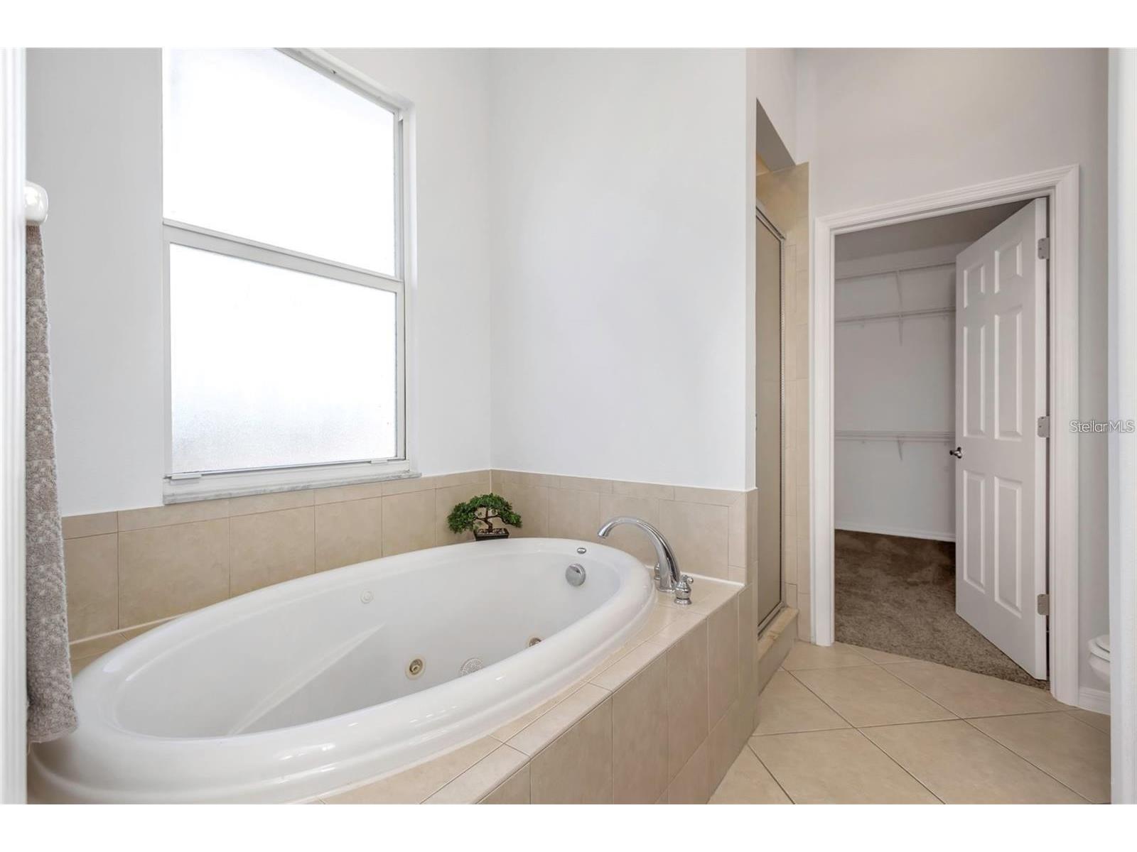 7327 Brightwaters Court New Port Richey FL 34652 O6378469 image19