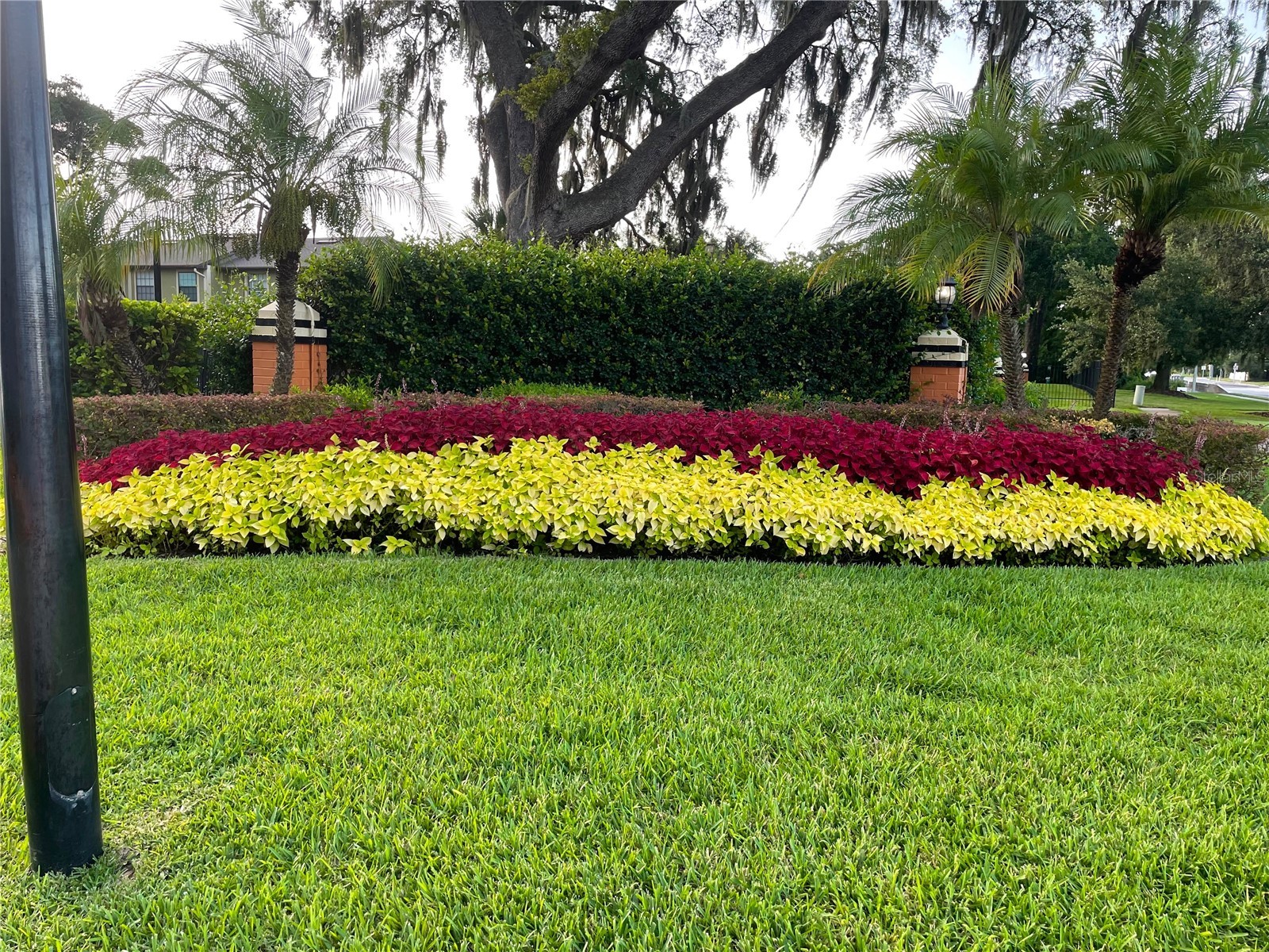 7327 Forest Hill Court #223 Winter Park FL 32792 O6403841 image2