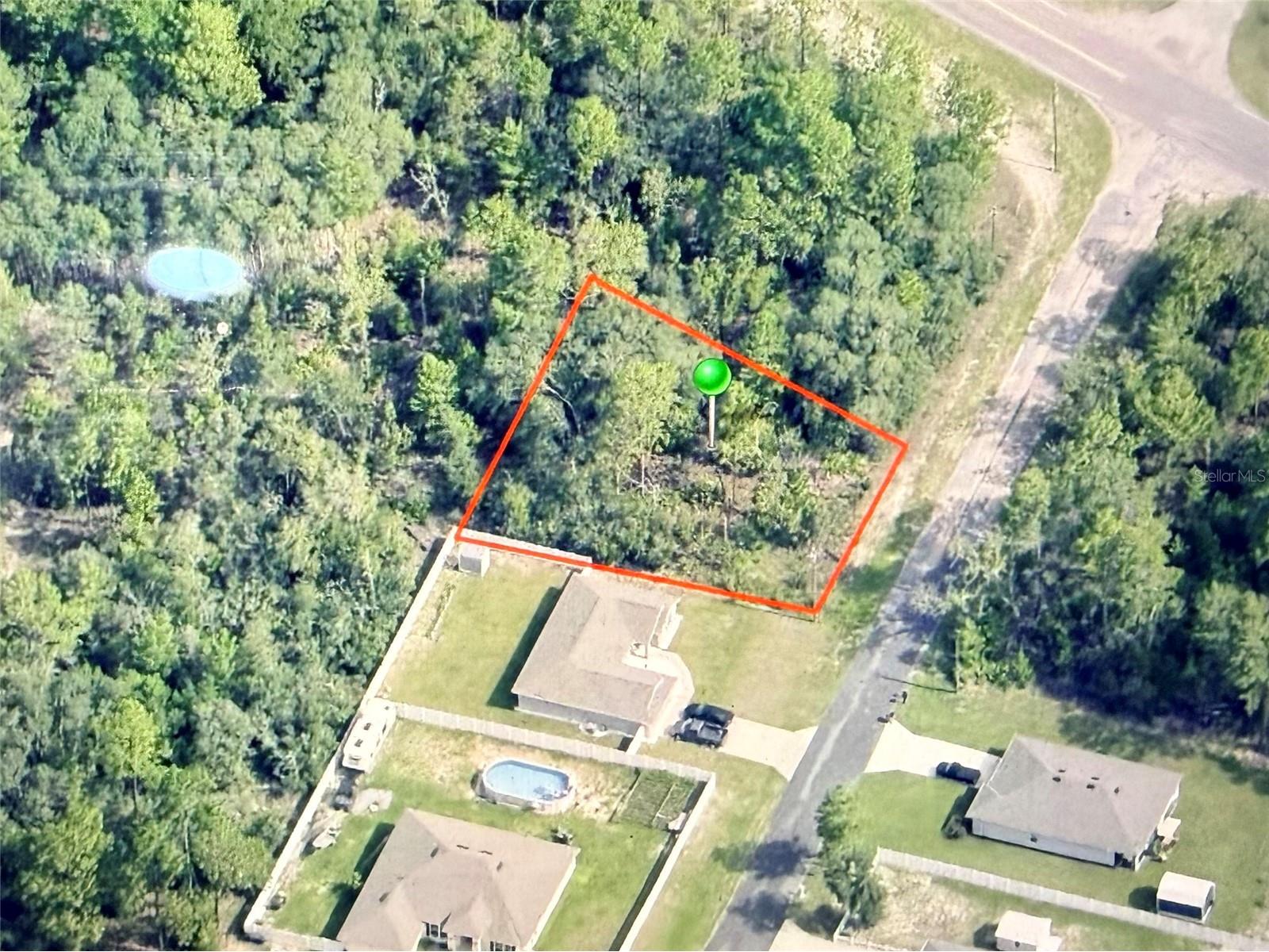 7327 N Lime Drive Citrus Springs FL 34433 OM722686 image1
