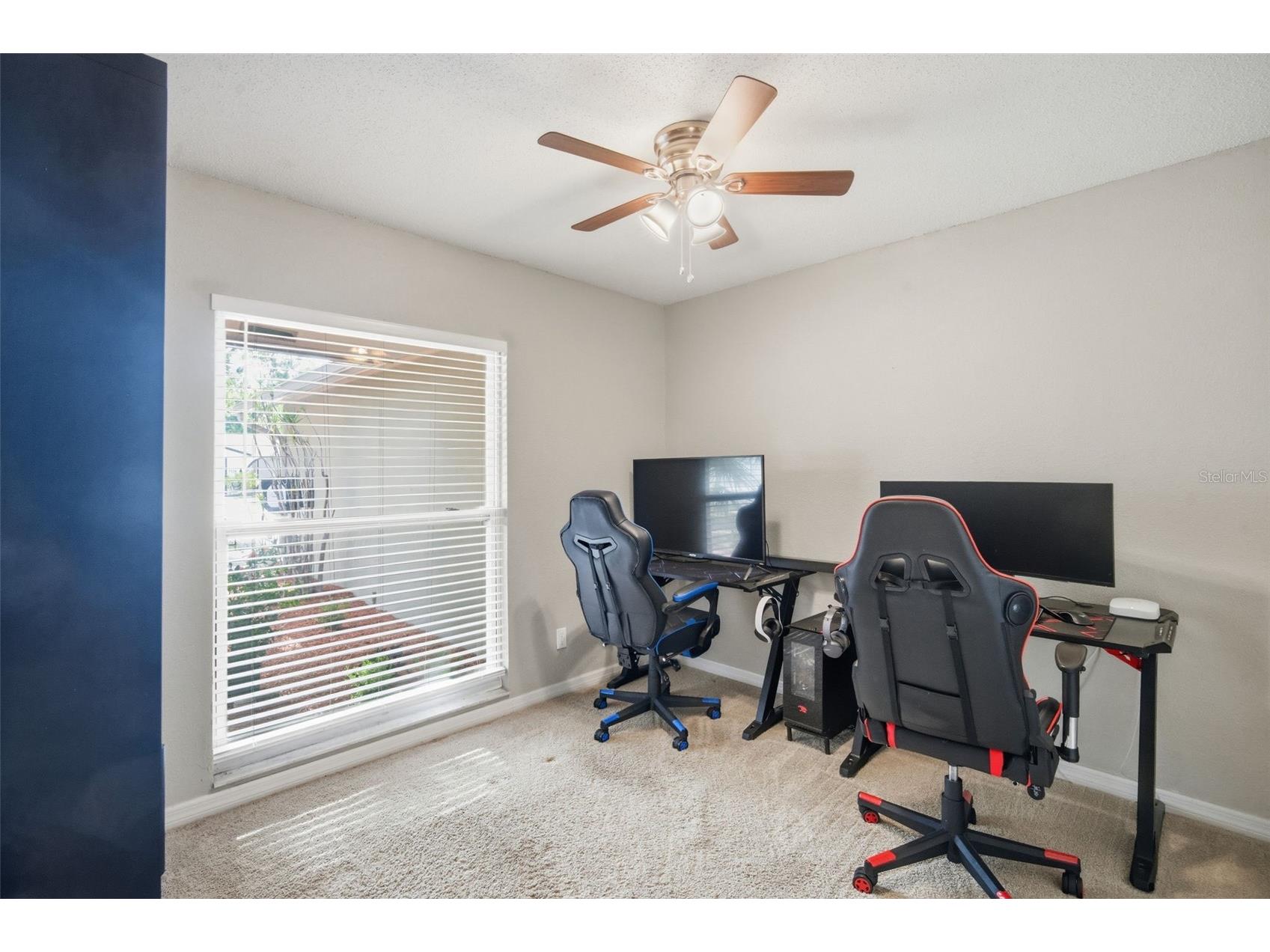 7327 Sunshine Circle Tampa FL 33634 TB8509906 image40