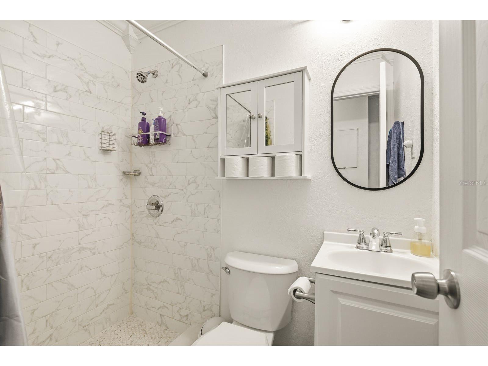 7327 Winchester Drive Tampa FL 33615 TB8508146 image21