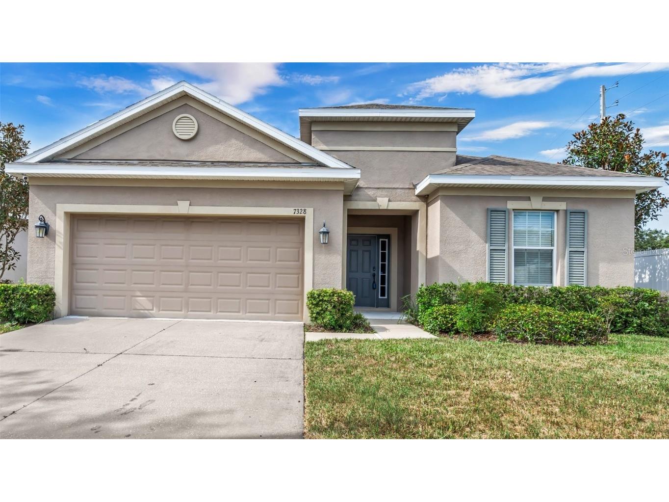 7328 Blue Beech Drive Riverview FL 33578 T3550396 image1