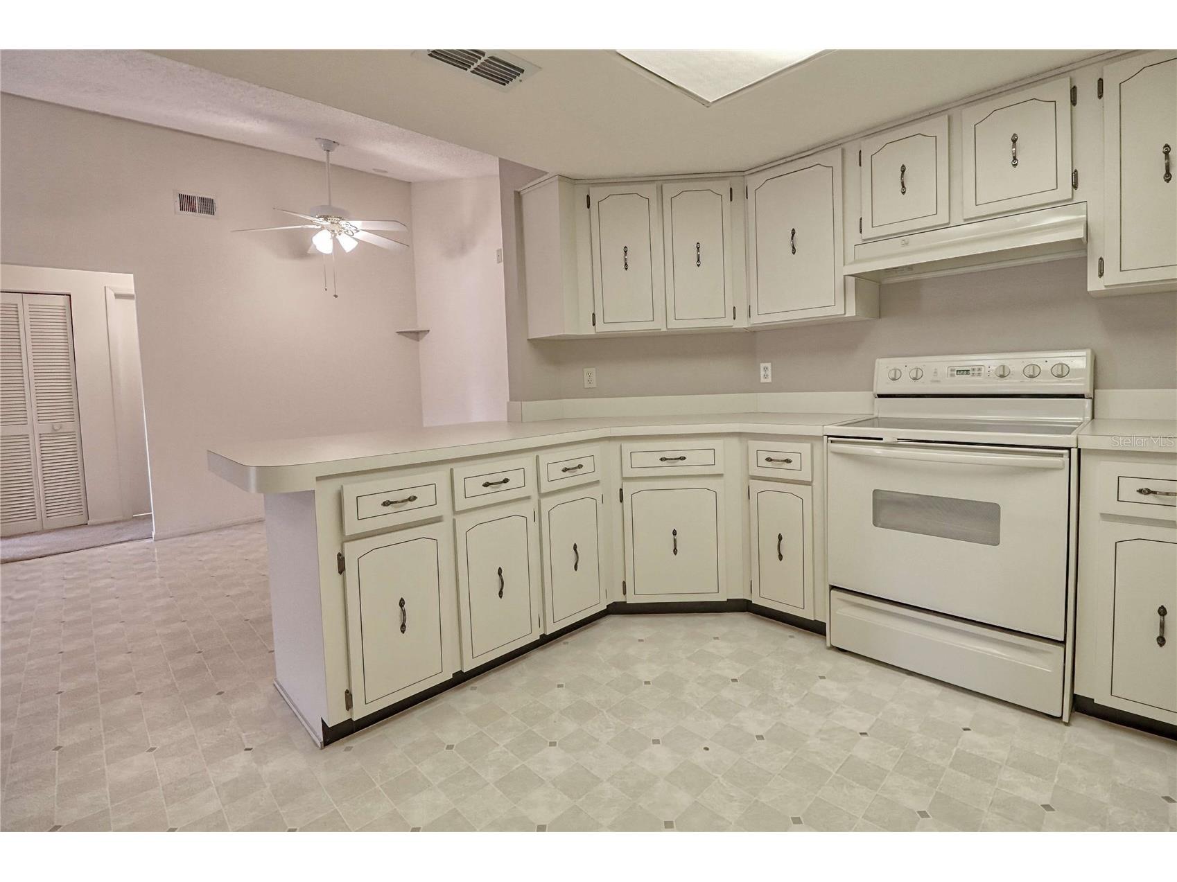 7328 Flyway Drive Spring Hill FL 34607 A4681968 image13