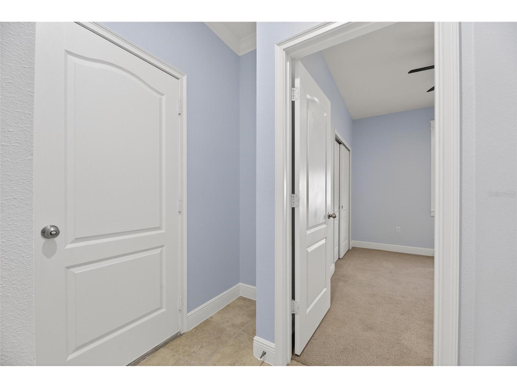 7328 Milestone Drive Apollo Beach FL 33572 TB8517205 image47