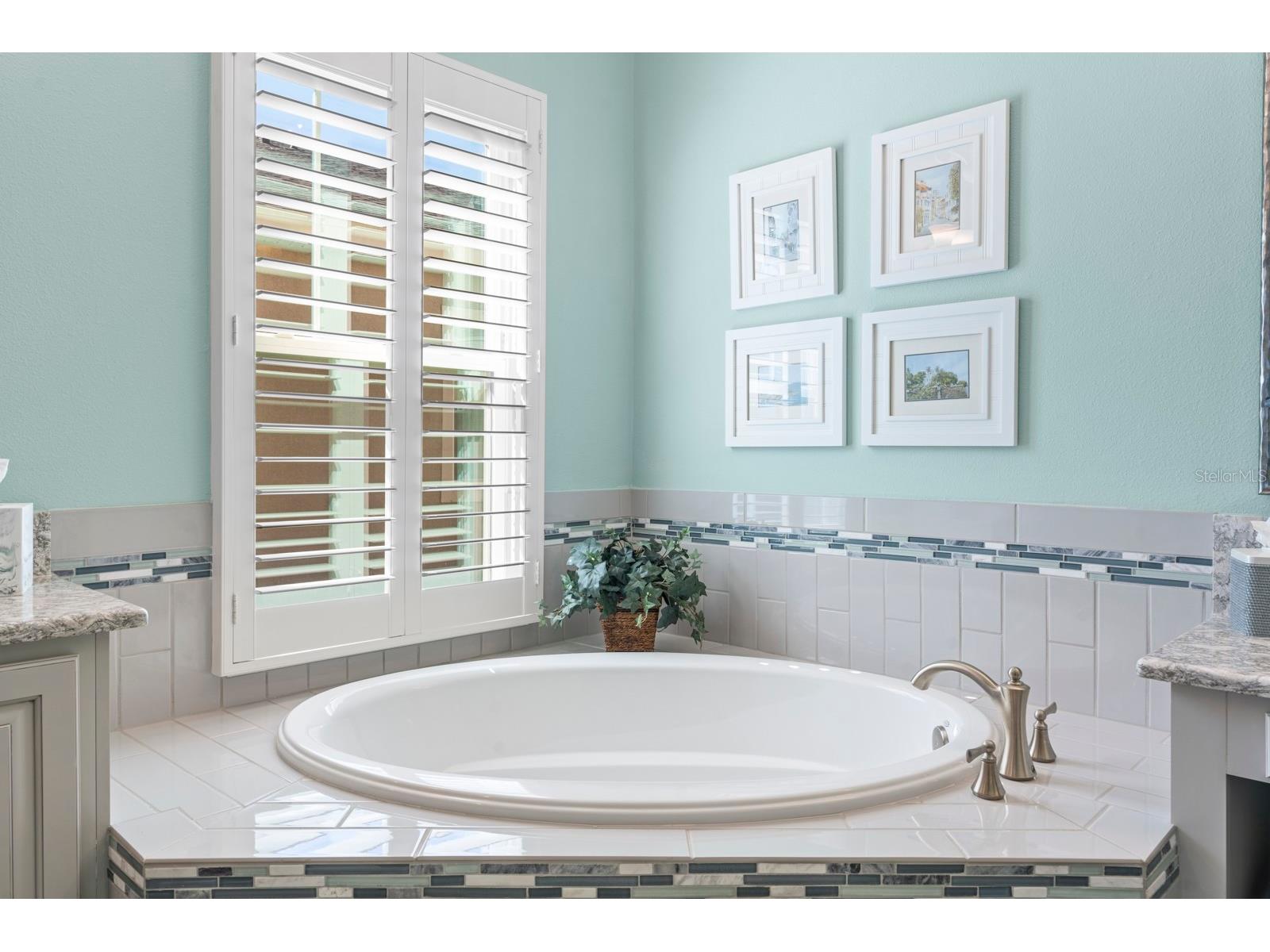 7328 Paradiso Drive Apollo Beach FL 33572 TB8483557 image27