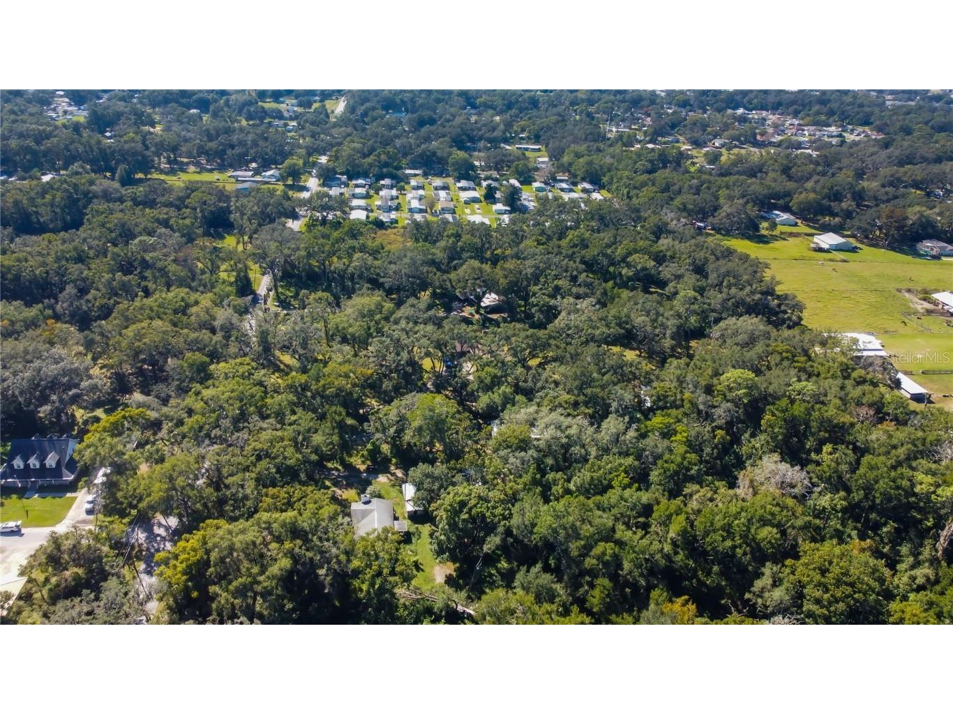 7329 20th Street Zephyrhills FL 33540 TB8449177 image10