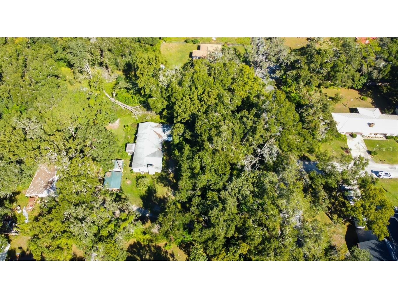 7329 20th Street Zephyrhills FL 33540 TB8449177 image12