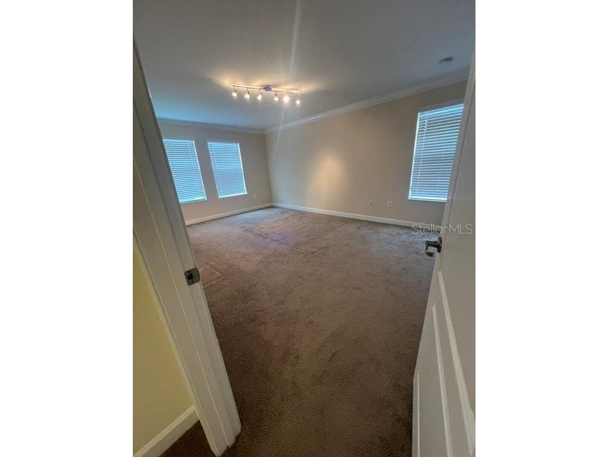 7329 Auburnwood Lane Windermere FL 34786 S5151923 image12