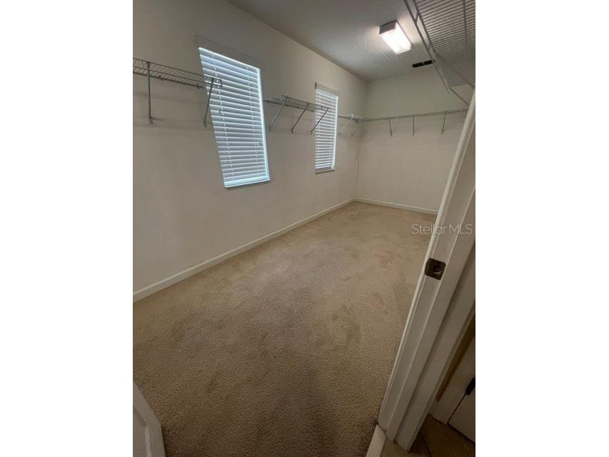 7329 Auburnwood Lane Windermere FL 34786 S5151923 image13