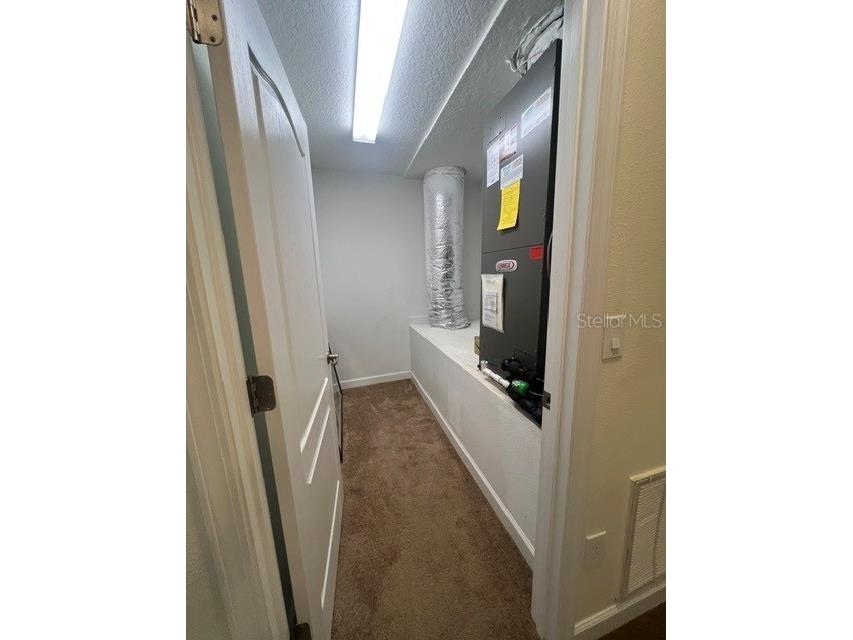 7329 Auburnwood Lane Windermere FL 34786 S5151923 image22