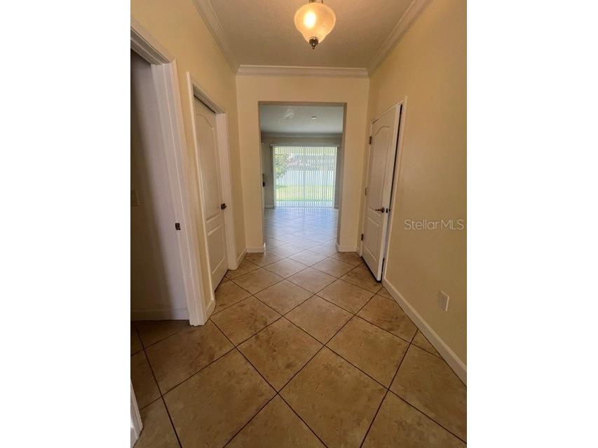 7329 Auburnwood Lane Windermere FL 34786 S5151923 image4
