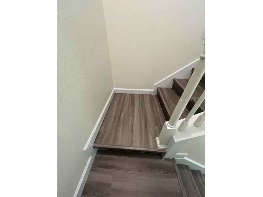 7329 Auburnwood Lane Windermere FL 34786 S5151923 image9