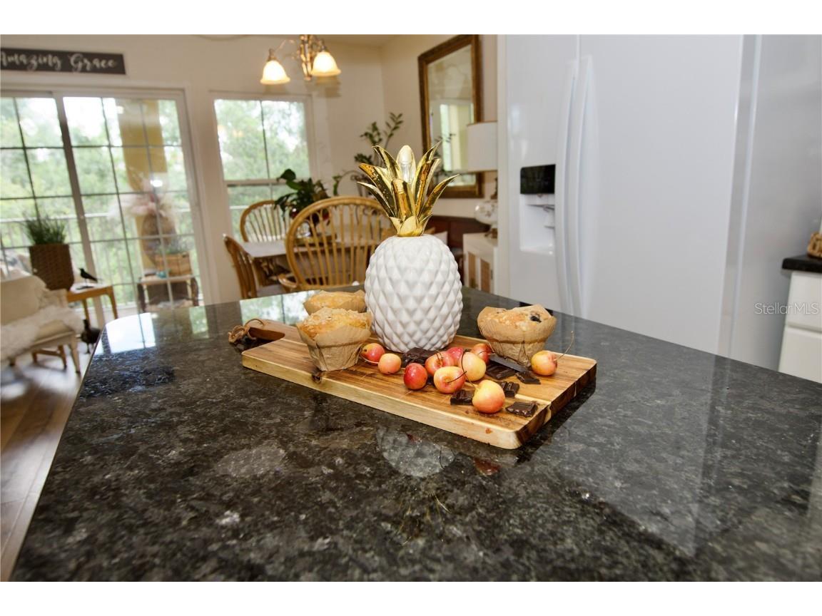 7329 Black Walnut Way Lakewood Ranch FL 34202 A4659823 image10