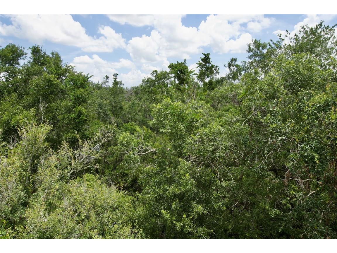 7329 Black Walnut Way Lakewood Ranch FL 34202 A4659823 image25