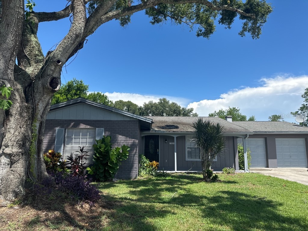 7329 Brookview Circle Tampa FL 33634 T3471353 image1
