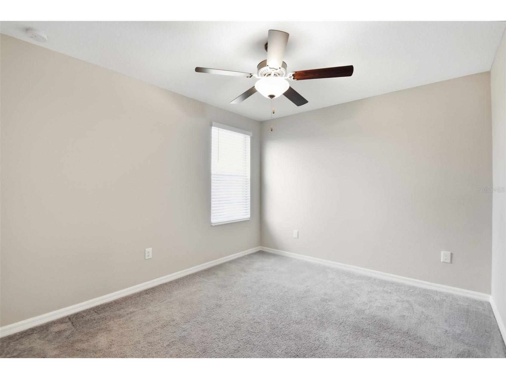 7329 Canterbury Bells Court Tampa FL 33619 O6406572 image33