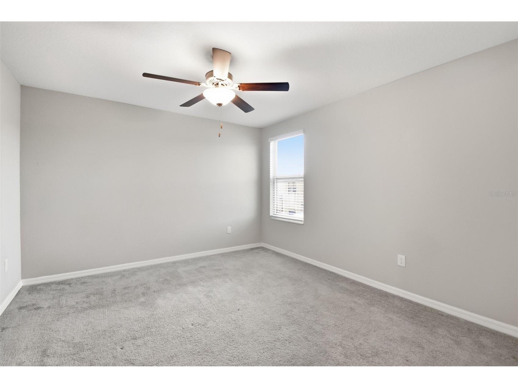 7329 Canterbury Bells Court Tampa FL 33619 O6406572 image36