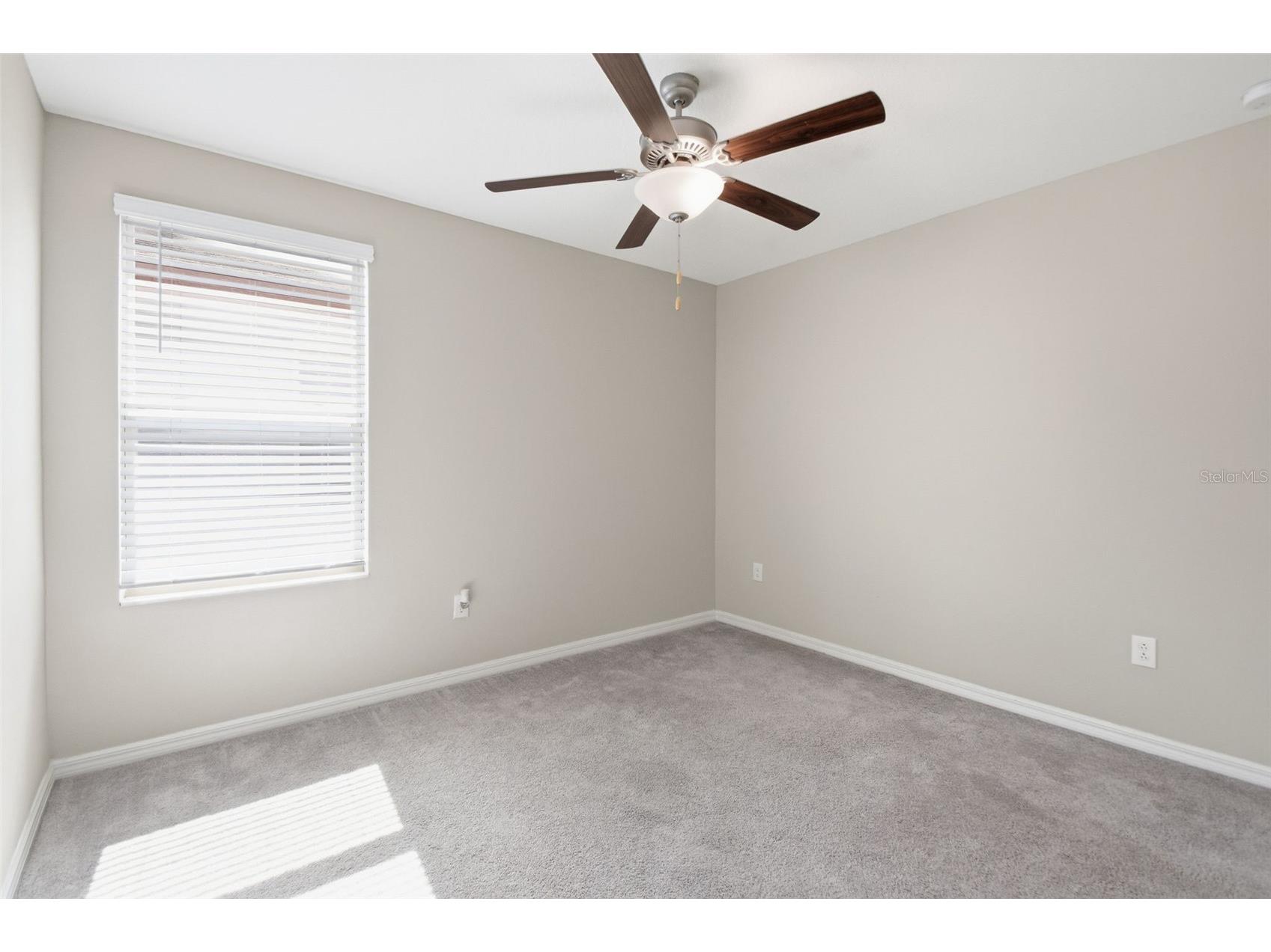 7329 Canterbury Bells Court Tampa FL 33619 O6406572 image39