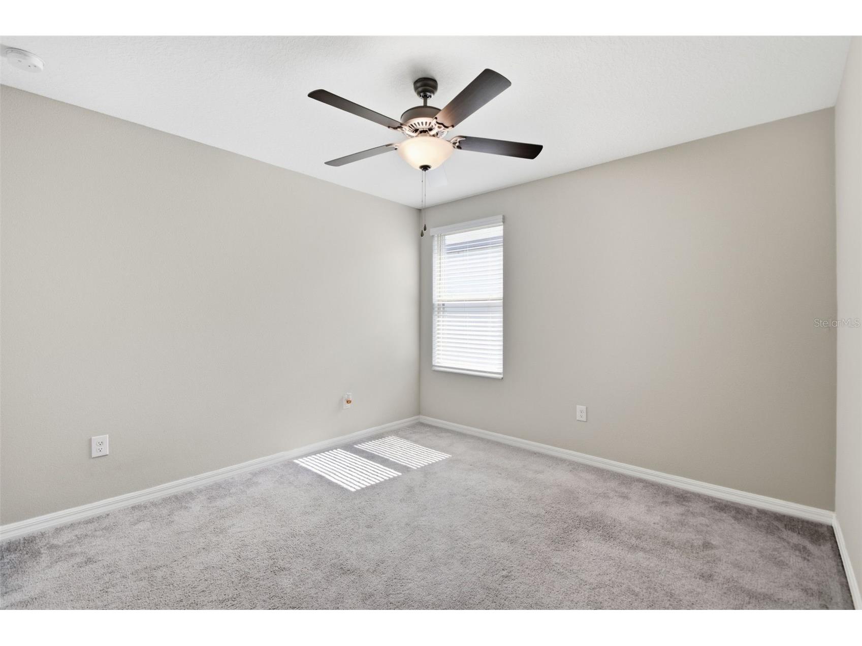 7329 Canterbury Bells Court Tampa FL 33619 O6406572 image42