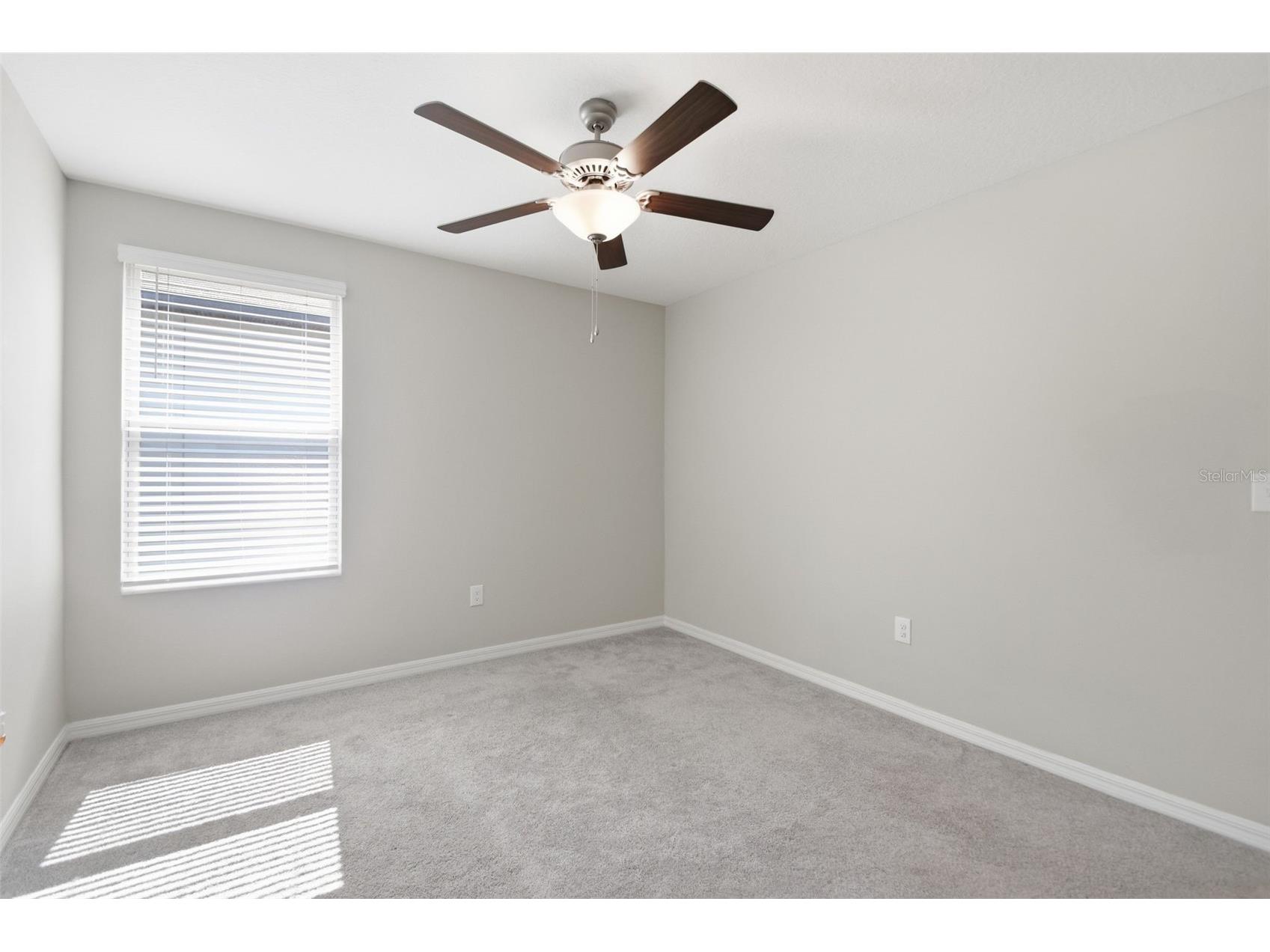 7329 Canterbury Bells Court Tampa FL 33619 O6406572 image43