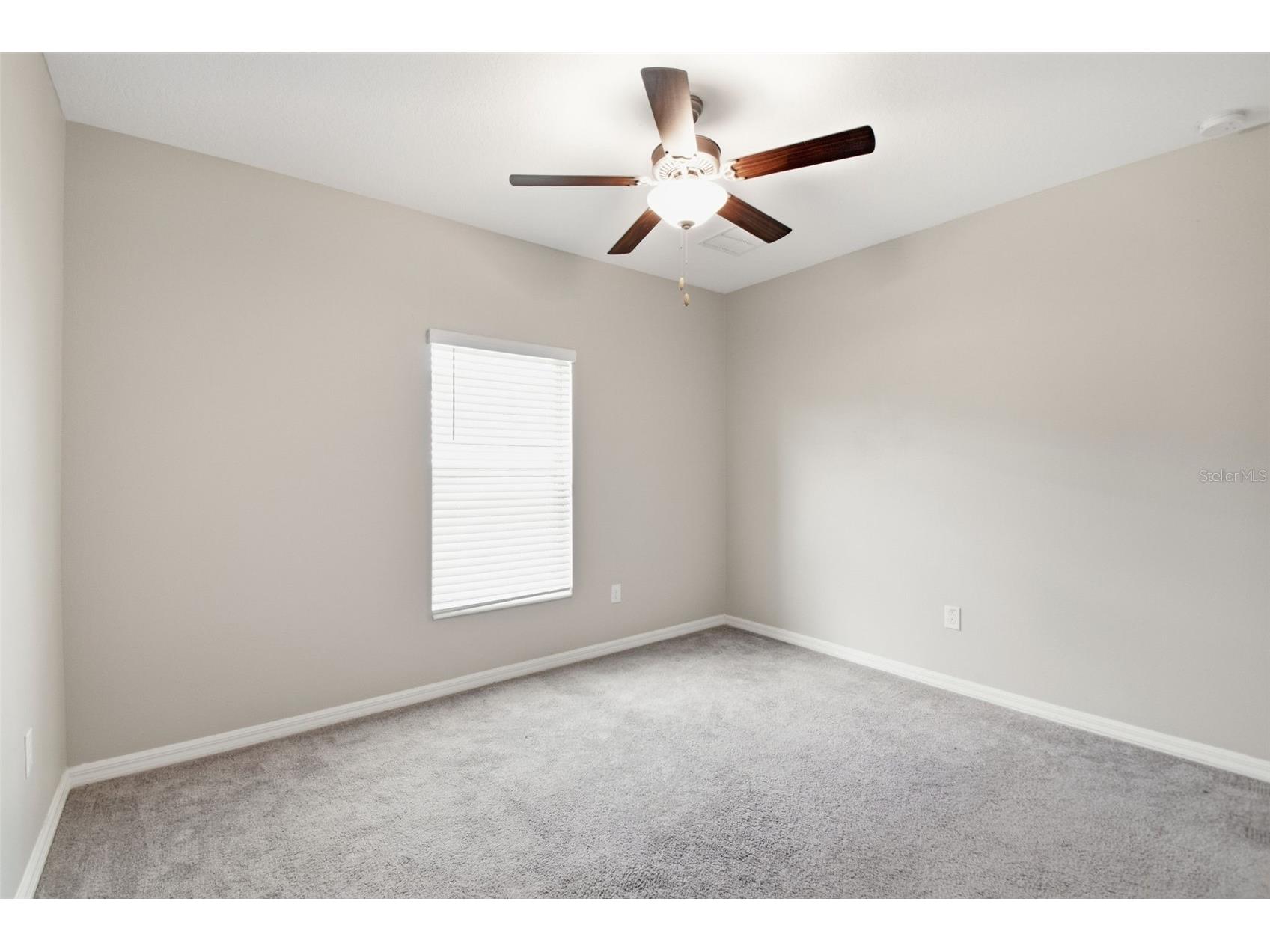 7329 Canterbury Bells Court Tampa FL 33619 O6406572 image45