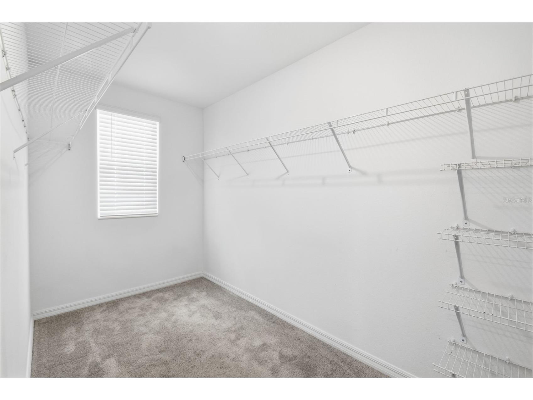 7329 Canterbury Bells Court Tampa FL 33619 O6406572 image48
