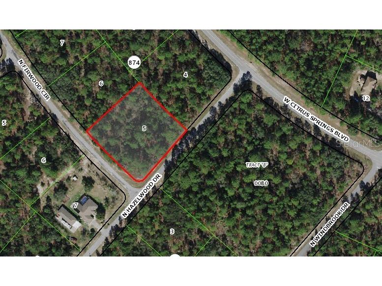 7329 N Firwood Circle Citrus Springs FL 34433 OM679250 image1