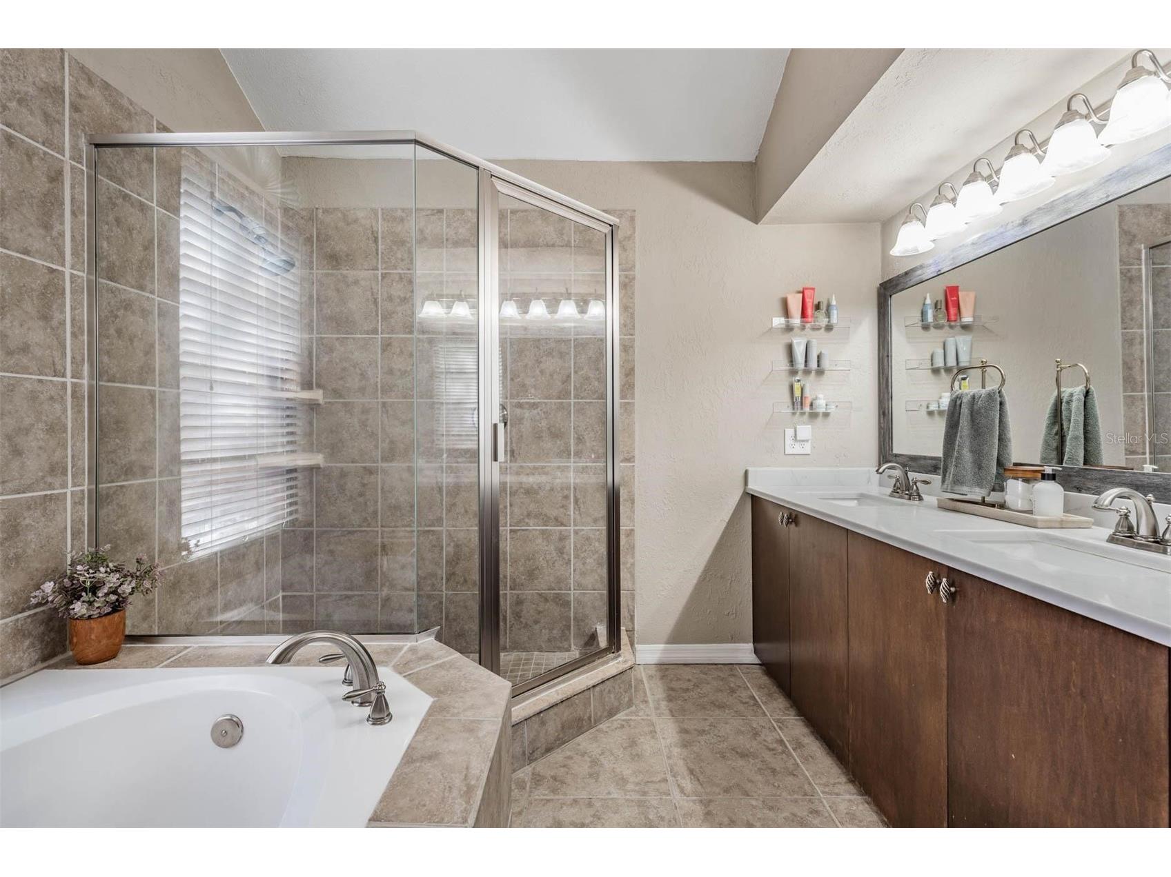 7329 Otter Creek Drive New Port Richey FL 34655 TB8501337 image21