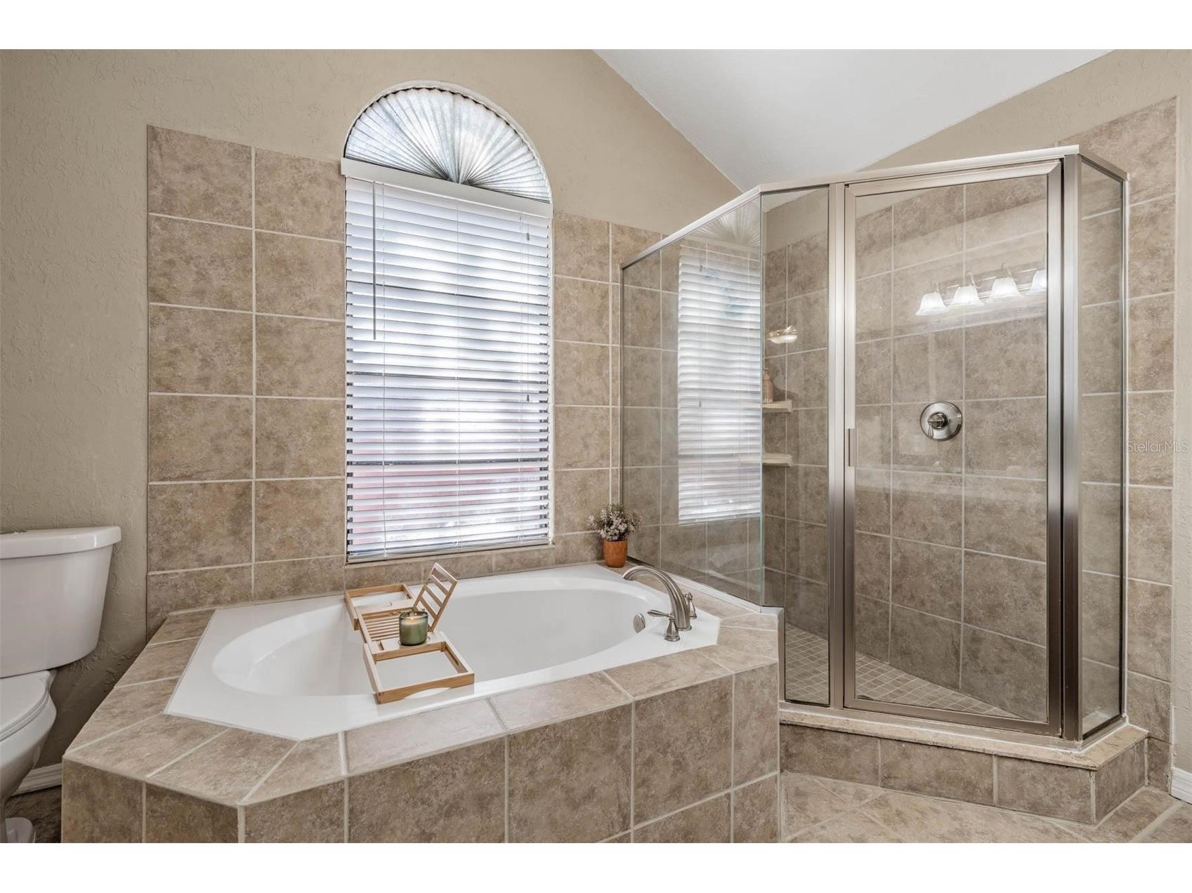 7329 Otter Creek Drive New Port Richey FL 34655 TB8501337 image23