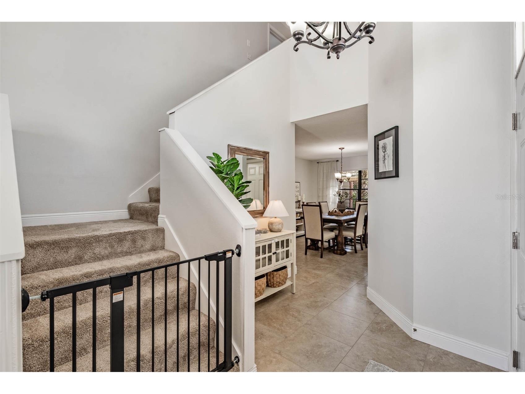 7329 Otter Creek Drive New Port Richey FL 34655 TB8501337 image24