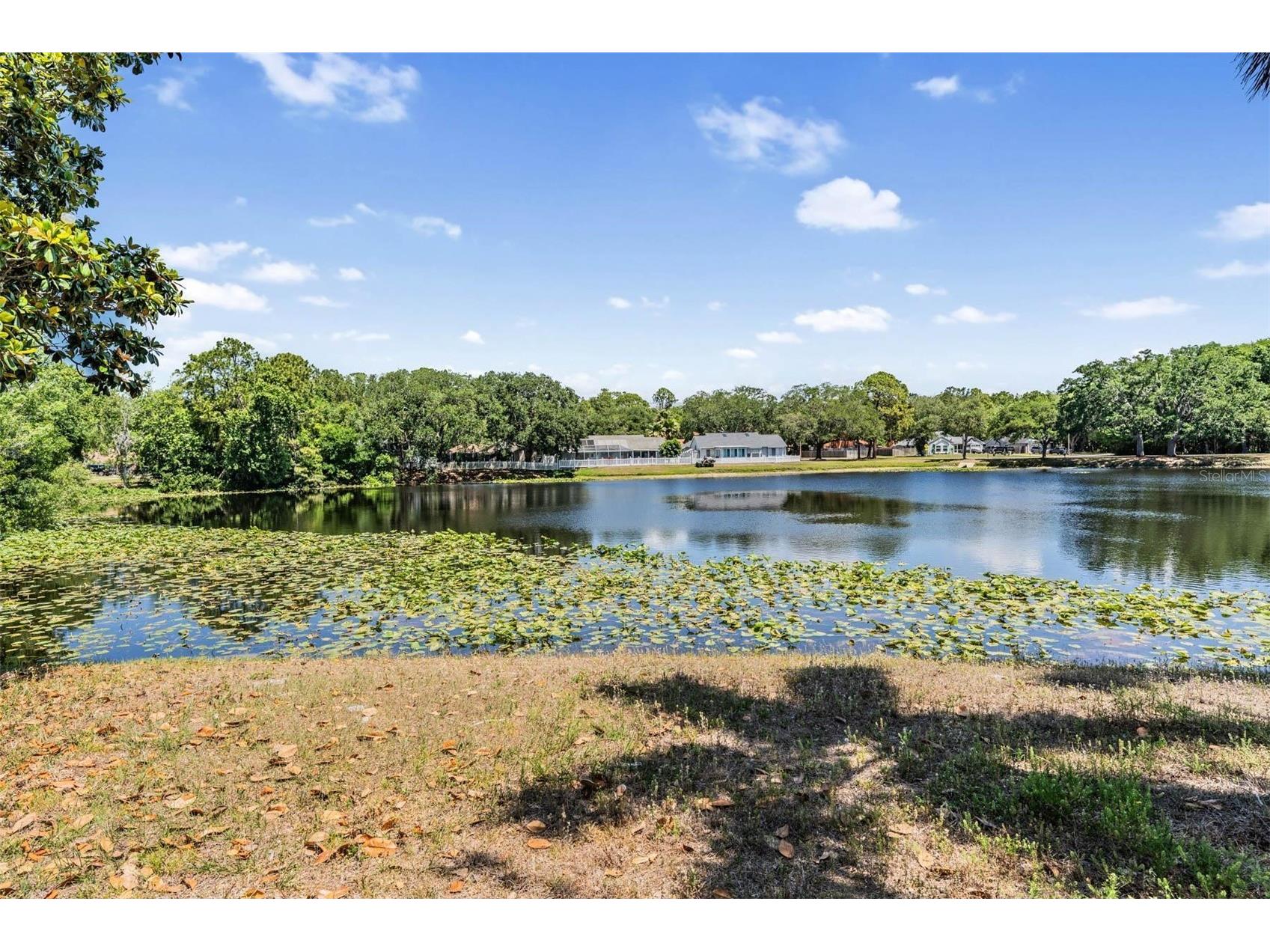 7329 Otter Creek Drive New Port Richey FL 34655 TB8501337 image34