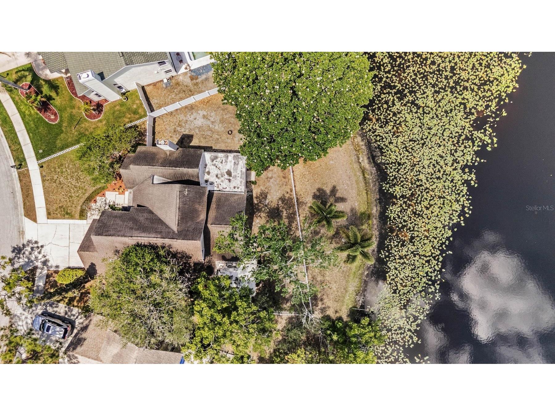 7329 Otter Creek Drive New Port Richey FL 34655 TB8501337 image36