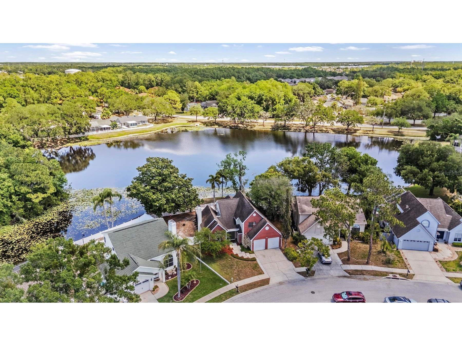 7329 Otter Creek Drive New Port Richey FL 34655 TB8501337 image37