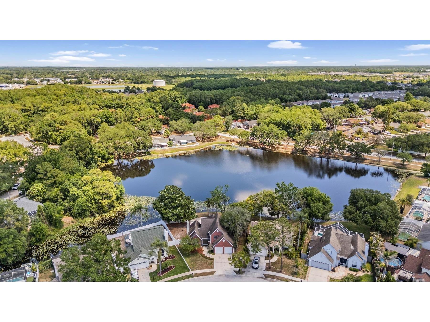 7329 Otter Creek Drive New Port Richey FL 34655 TB8501337 image38