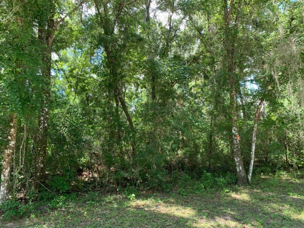 7329 Packingham Drive Webster FL 33597 G5083772 image1
