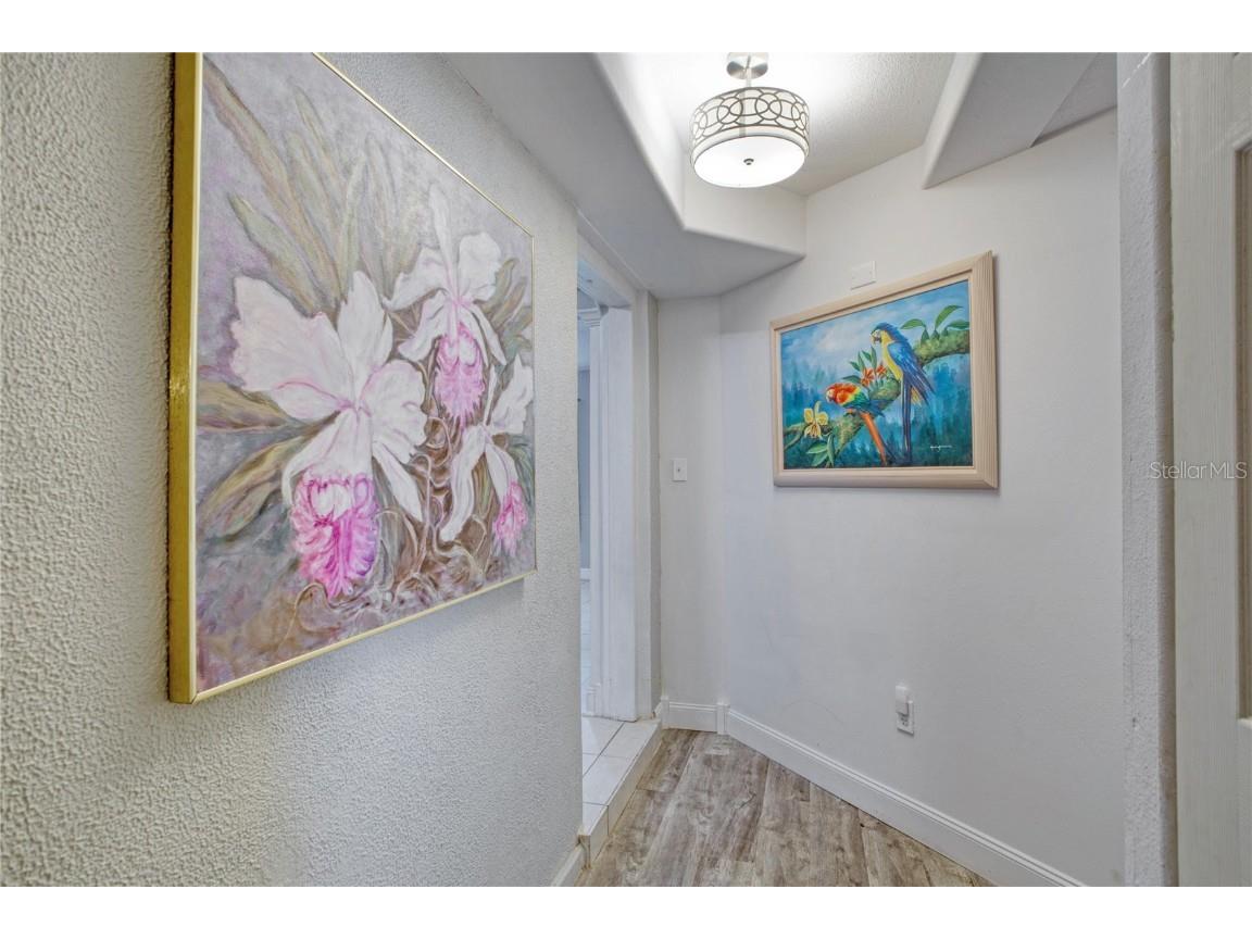 7329 Royal Palm Drive New Port Richey FL 34652 O6241141 image20