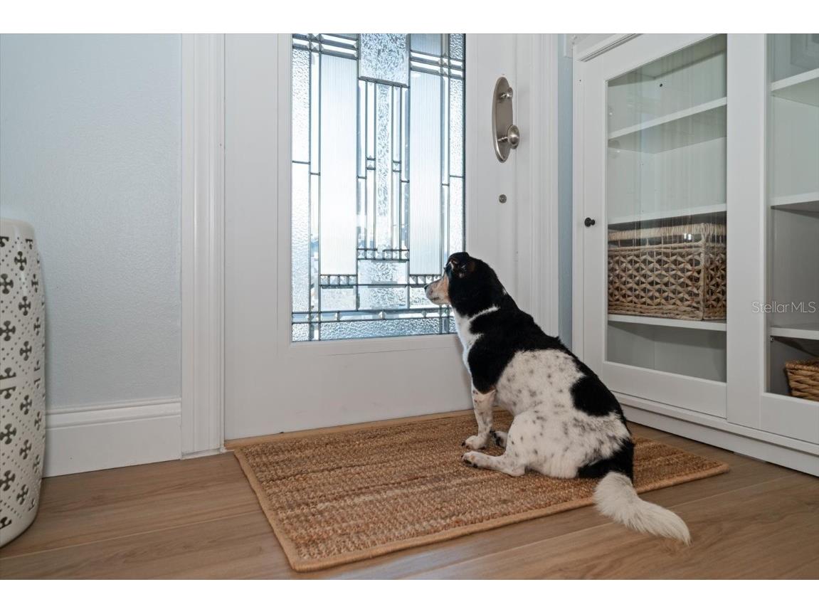 733 Bay Esplanade Clearwater Beach FL 33767 TB8413907 image99